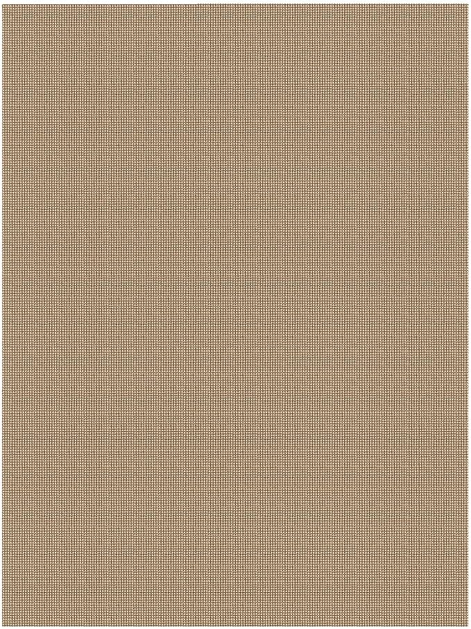 IOHOUZE Washable Area Rug 6x9 Non Slip Rubber Backed Woven Rugs for Living Room, Dining Room Rugs Bedroom Rug, Floor Carpet for Living Room Nursery Office, Orange/Tan/Brown