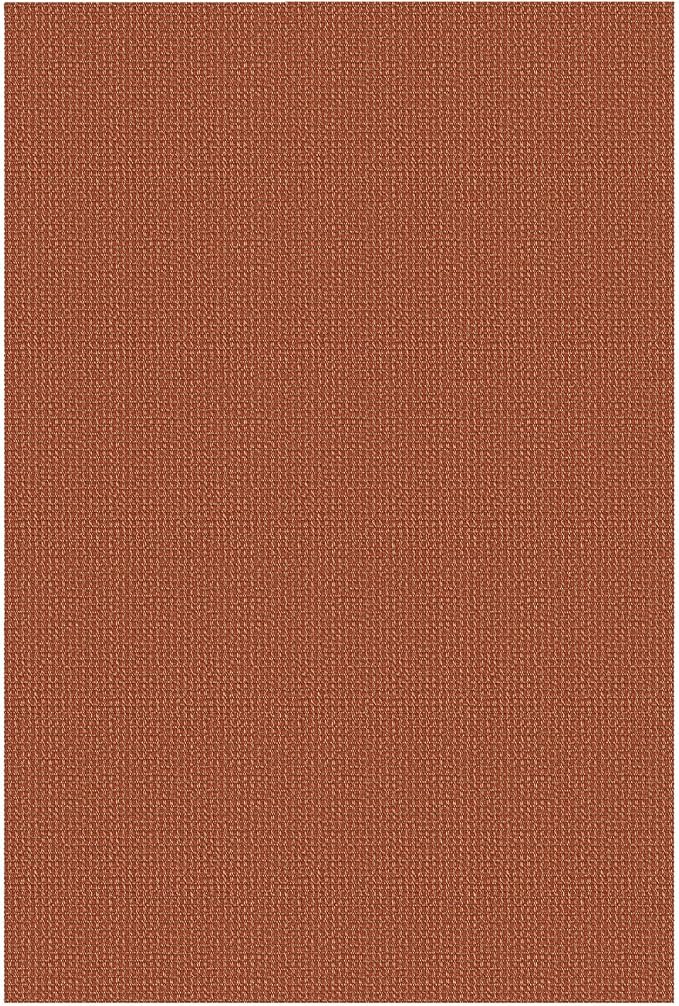 IOHOUZE Washable Area Rug 5x7 Non Slip Rubber Backed Rugs for Living Room, Dining Room Rugs Bedroom Rug, Woven Indoor Floor Carpet for Living Room Nursery Office, Burnt Orange/Tan