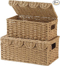 Set of 2 Scalloped Wicker Baskets with Lid,Paper Rope Decorative Storage Baskets for Shelves, Display Shelf, Handmade Cute Woven Basket for Nursery,Living Room Decor