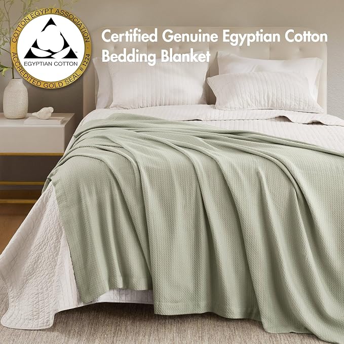 Madison Park 100% Egyptian Cotton Twin Bed Blanket for Summer Sage Green | Cozy Soft Breathable Durable, Waffle Weave Woven Casual, Lightweight Knit All Season Throw for Bed Couch or Sofa, OEKO TEX