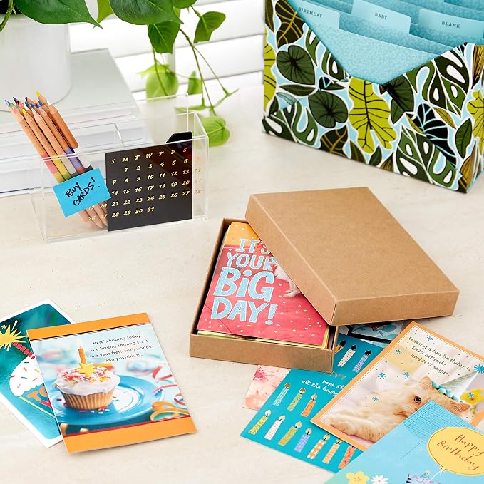 Hallmark Birthday Cards Assortment, 20 Cards with Envelopes & Sympathy Cards Assortment, Watercolor Nature (12 Assorted Thinking of You Cards with Envelopes)