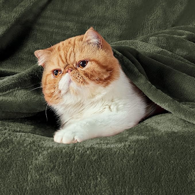 Bedsure Fleece Blankets King Size Oive Green - Bed Blanket Soft Lightweight Plush Cozy Fuzzy Luxury Microfiber, 108x90 inches