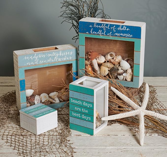 Primitives by Kathy Seashell Holder - Coastal Decor, Glass Display, Treasure Chest, Room and Bedroom Decor
