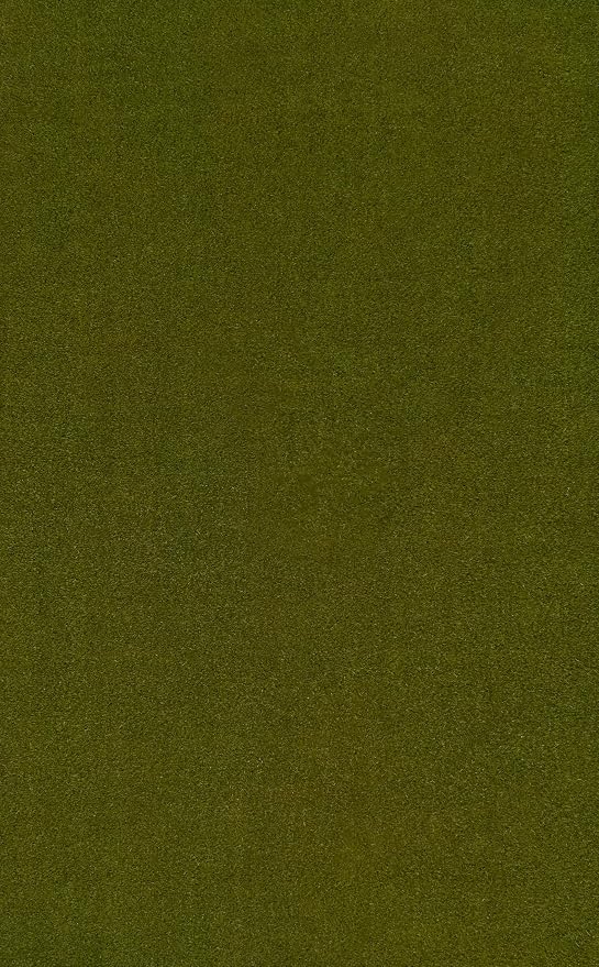 JONATHAN Y Peater Classic Casual Commercial Natural Coir Green 4 ft. x 6 ft. Doormat for Entrance, Front Door, Entryway CHG100F-4