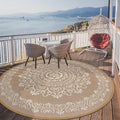 Pauwer Outdoor Rug 6ft, Waterproof Plastic Straw Camping Rug, Floral Brown | Reversible Patio Rug, UV Resistant Indoor Outdoor RV Mat Carpet For Deck, Camper, Porch, Balcony, Backyard, Picnic, Foldable