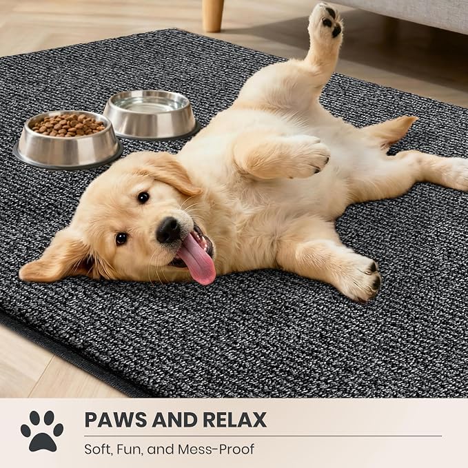 PURRUGS Dirt Trapping Door Mat 32" x 47", Non-Slip Machine Washable Entry Rug, Entrance Mat, Indoor Front Door Mat, Super Absorbent Entryway Rug for Muddy Shoes & Paws, Heathered Charcoal