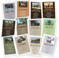 Advice From Nature Forest Woodland Greeting Card Set Wilderness, 12 Pack | Blank Inside Sustainable All Occasion Card Set, Printed in the USA on Replanted Cardstock