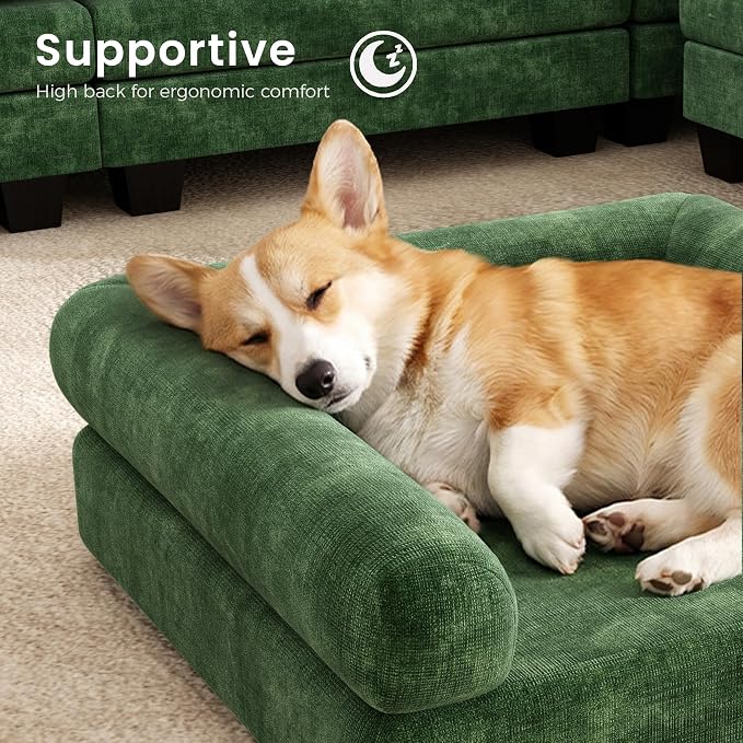 KKL Dog Couch 27.5" Wide, 2-in-1 Removable Base–Elevated 18.8" Dog Sofa Bed for Small & Medium Cats & Dogs, Matching Human Sofa Style, Green