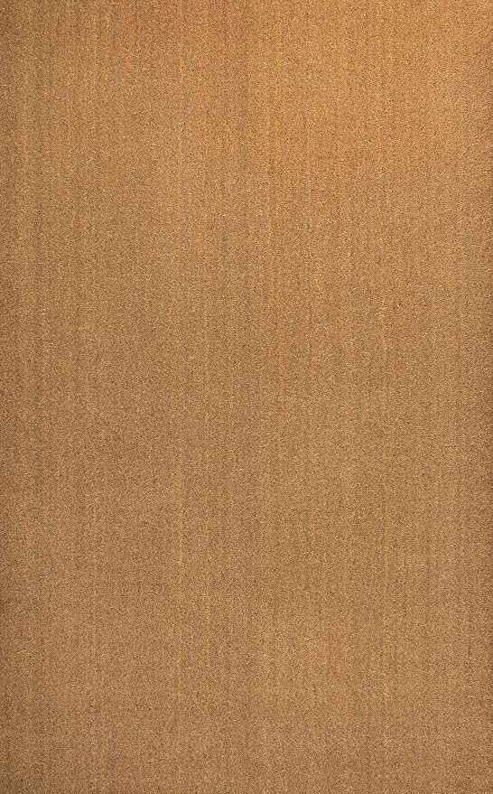 JONATHAN Y CHG100A-4 Peater Classic Casual Commerical Natural Coir Light Brown 4 ft. x 6 ft. Doormat for Entrance, Front Door, Entryway