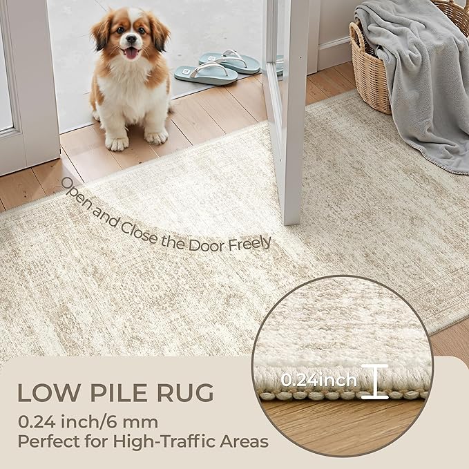 3x5 Washable Area Rug for Entryway, Soft Kitchen Rugs Non Slip for Dining Room, Vintage Abstract Living Room Rug, Thin Area Rugs Indoor for Bedroom, Kids Room Decor(3'x5', Beige/Ivory)