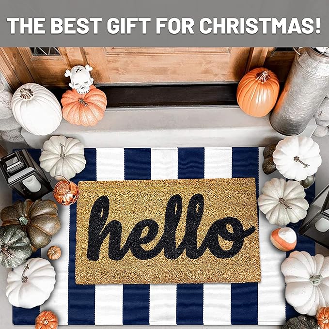 IOHOUZE Navy White Striped Rug -27.5" X 43" Front Door Mats Outdoor,Washable Rug for Front Porch Decor,Spring Summer Welcome Mats Outdoor Indoor, Doormat for Farmhouse/Entryway/Home Entrance