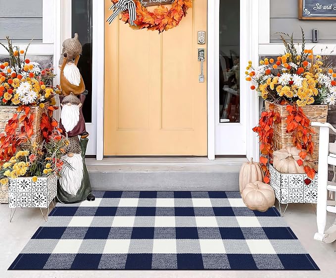 Blue and White Checkered Outdoor Rug 27.5''x 43.3''Buffalo Plaid Layered Doormat Woven Machine Washable Farmhouse Door Mats Outdoor for Hello/Welcome Mat,Entryway,Bedroom,Patio