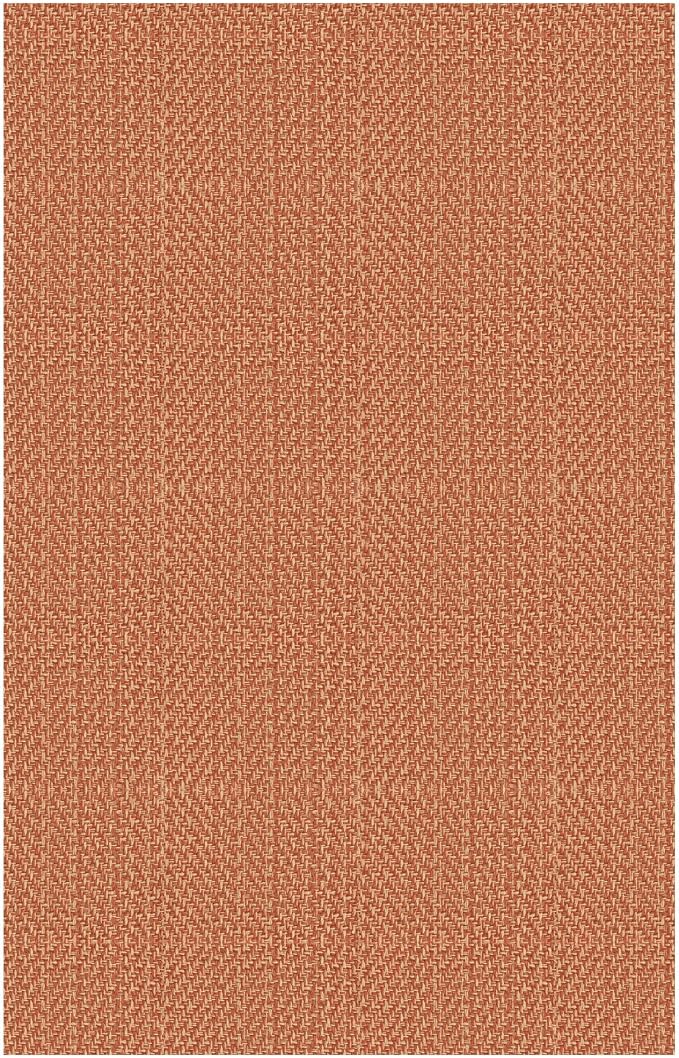 IOHOUZE Small Area Rug 2x3 Washable Woven Rugs for Entryway Non Slip Rubber Backed Front Door Rugs Indoor Doormat Throw Rug Floor Carpet for Entrance Kitchen, Rustic Orange