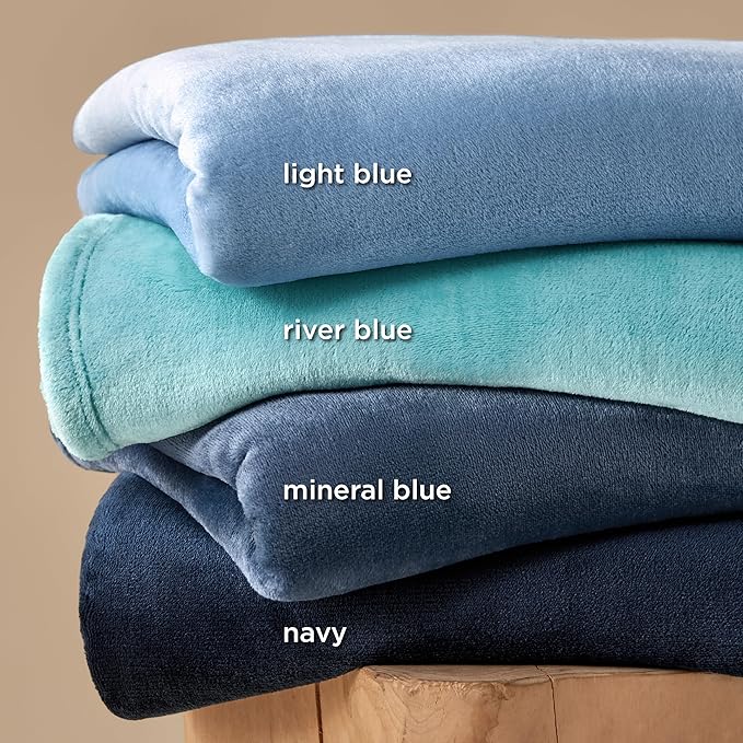 Bedsure GentleSoft Fleece Blankets Twin Size Light Blue - 300GSM Lightweight Plush Fuzzy Cozy Soft Blanket for Bed, Sofa, Couch, Travel, Camping, 60x80 inches