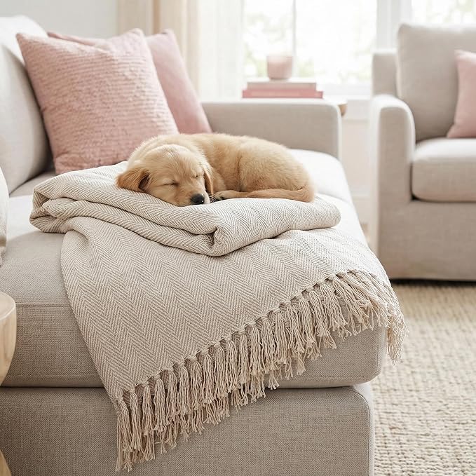 Americanflat 50x60 Throw Blanket - Soft and Breathable Cotton Throw Blanket for Couch, Bed, Chair - Decorative Blankets Perfect for Home, Office, or Outdoor Use - Cream Herringbone Design