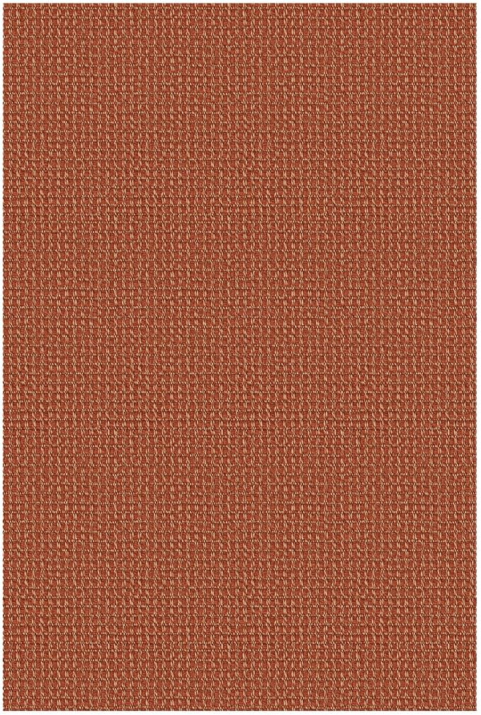 IOHOUZE Small Area Rug 2x3 Washable Woven Rugs for Entryway Non Slip Rubber Backed Front Door Rugs Indoor Doormat Throw Rug Floor Carpet for Entrance Kitchen, Burnt Orange/Tan