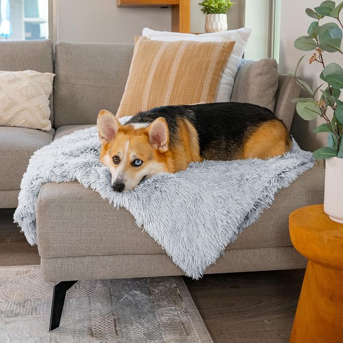 Best Friends by Sheri Dog Blanket, Shag Faux Fur, Frost Gray, 30" x 40" | Ultra Soft Throw for Pets, Sense of Security & Warmth, Lightweight Bed Cover, Machine Washable, Cats & Small-Medium Dogs