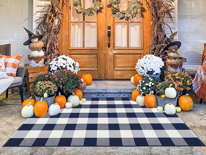 Outdoor Rug 3'x5'Blue and White Buffalo Checkered Rug Cotton Woven Machine Washable Farmhouse Front Porch Rug Door Mat Outdoor for Entryway,Patio,Bedroom,Hello Welcome Mat