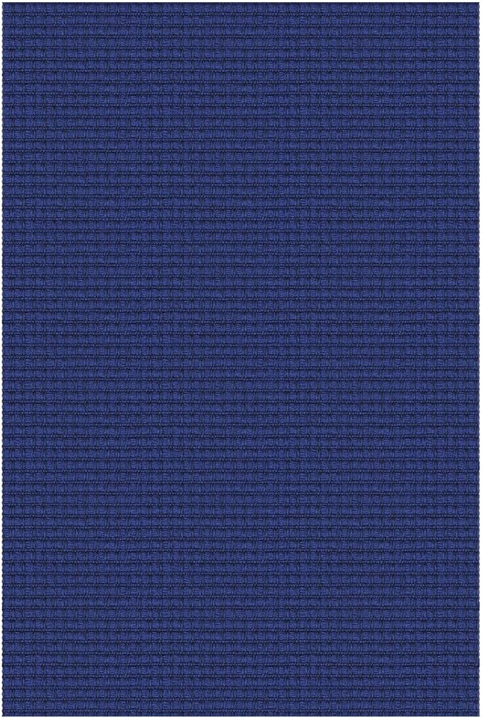 IOHOUZE Small Area Rug 2x3 Washable Woven Rugs for Entryway Non Slip Rubber Backed Front Door Rugs Indoor Doormat Throw Rug Floor Carpet for Entrance Kitchen, Royal Blue/Navy
