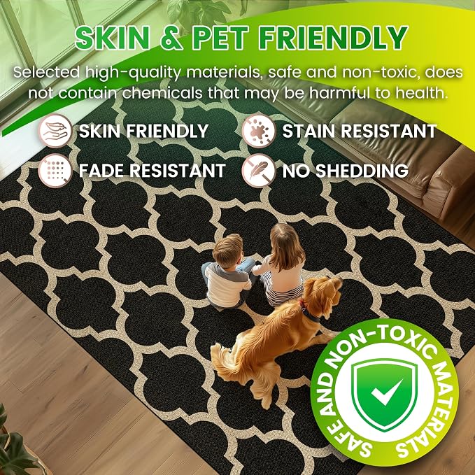 Washable 3x5 Moroccan Trellis Easy Jute Rug, Black Neutral Boho Outdoor Indoor Patio Small Area Rugs, Woven Ultra Thin Non Slip Carpet Door Mat for Entryway Front Door Porch Backyard Kids Playroom