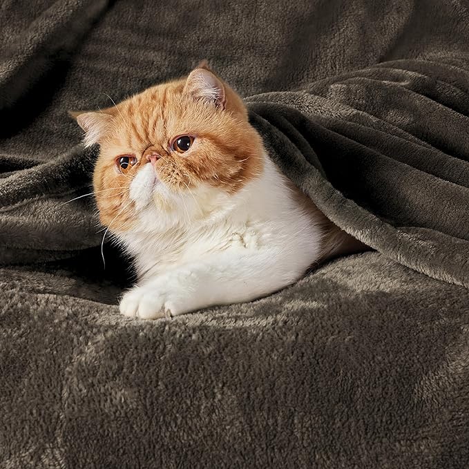 Bedsure GentleSoft Fleece Blankets Queen Size Brown - Bed Blanket Soft Lightweight Plush Fuzzy Cozy Luxury Microfiber, 90x90 inches