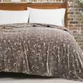 Lucky Brand Daisy Beige Floral 90"X90" Cozy Plush Blanket - Premium Microfiber Throw for Luxurious Comfort and Style Full/Queen Size