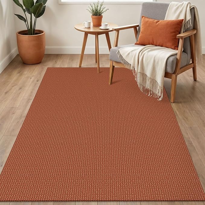 IOHOUZE Washable Area Rug 3x5 Non Slip Rubber Backed Woven Rugs for Entryway Rugs Indoor Outdoor Doormat Throw Rug Floor Carpet for Entrance Kitchen Front Door, Burnt Orange/Tan