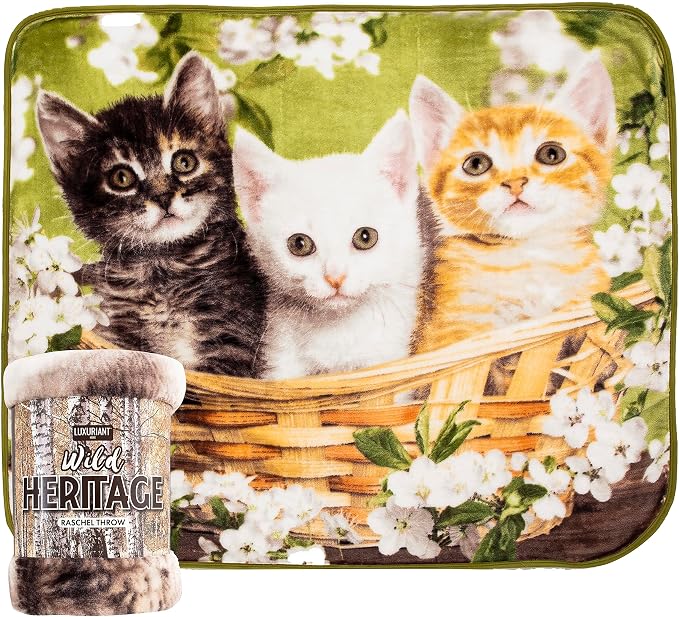 Northwest Wild Heritage Raschel Throw Blanket, 50" x 60", Basket of Kittens