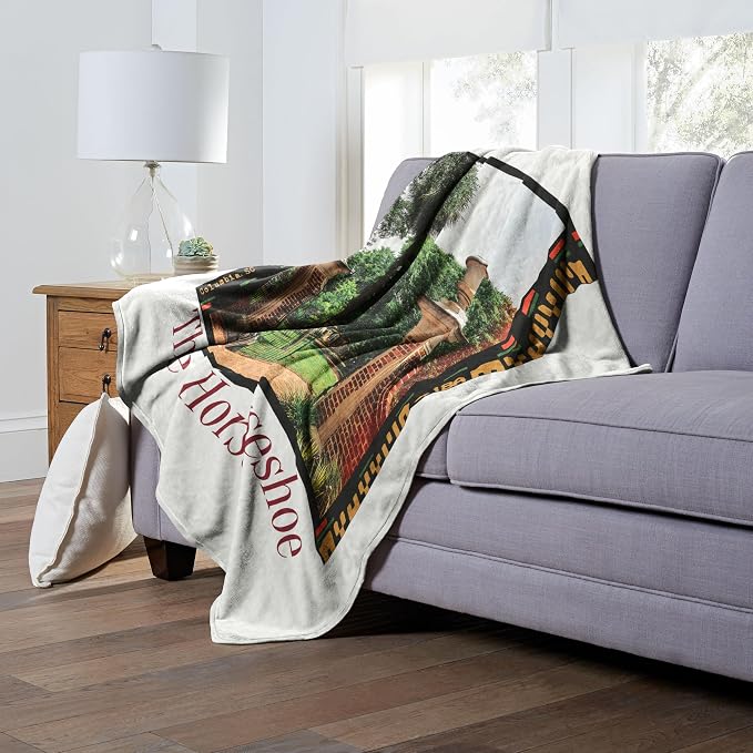 Northwest NCAA South Carolina Fighting Gamecocks Silk Touch Throw Blanket, 50" x 60", Campus Life