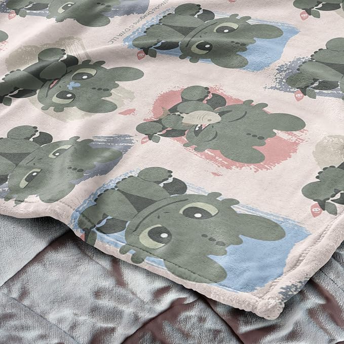 Northwest How to Train Your Dragon Many Emotions Silk Touch Throw Blanket 40x50 inches
