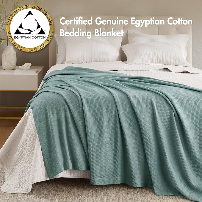 Madison Park 100% Egyptian Cotton Summer Blanket Full Queen Size Teal | Cozy Soft Breathable Durable, Waffle Weave Woven Casual, Lightweight Knit All Season Throw for Bed Couch or Sofa, OEKO TEX