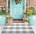 Door Mats Outdoor 24''X35'' Buffalo Plaid Front Porch Rug Cotton Woven Washable Outdoor Rug Small Area Rug for Welcome Door Mat Entryway Dining Room Bedroom Living Room