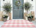 Pink and White Outdoor Rug 2'X4.3' Buffalo Plaid Checked Front Porch Rug Cotton Woven Washable Rug Layering Doormat for Welcome Door Mat Entryway Dining Room Bedroom Living Room