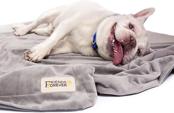 Friends Forever Dog Bed Blanket , Pets Blankets for Couch Sofa Protection | Durable Reversible Pet Hair Resistant Blanket for Dogs Cats Bed Kennel Crate Car Seat - Soft Velvet, Warm Fleece (M, 45x35)