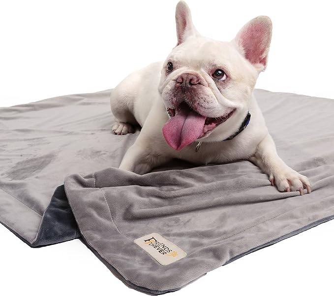 Friends Forever Dog Bed Blanket , Pets Blankets for Couch Sofa Protection | Durable Reversible Pet Hair Resistant Blanket for Dogs Cats Bed Kennel Crate Car Seat - Soft Velvet, Warm Fleece (M, 45x35)