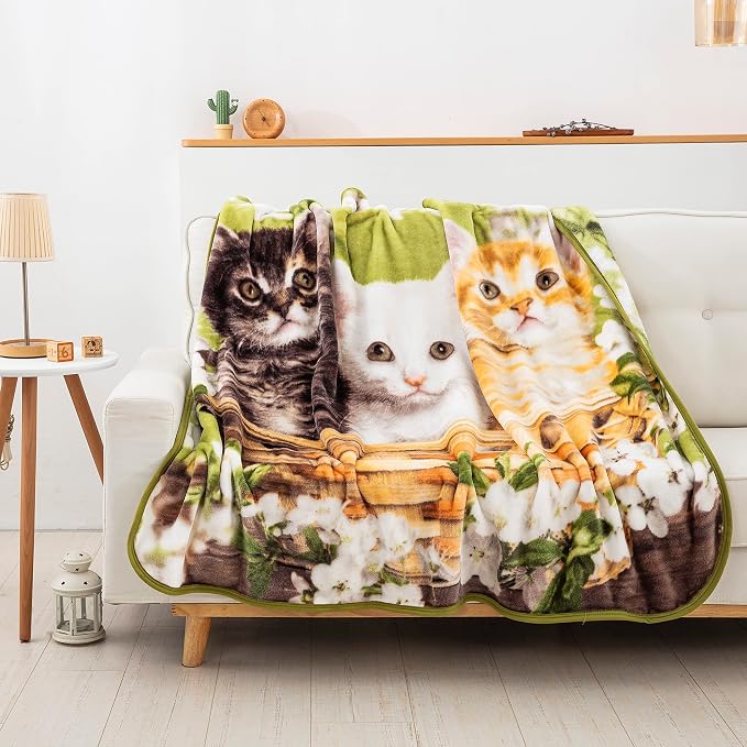 Northwest Wild Heritage Raschel Throw Blanket, 50" x 60", Basket of Kittens