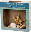 Primitives by Kathy Seashell Holder - Coastal Decor, Glass Display, Treasure Chest, Room and Bedroom Decor