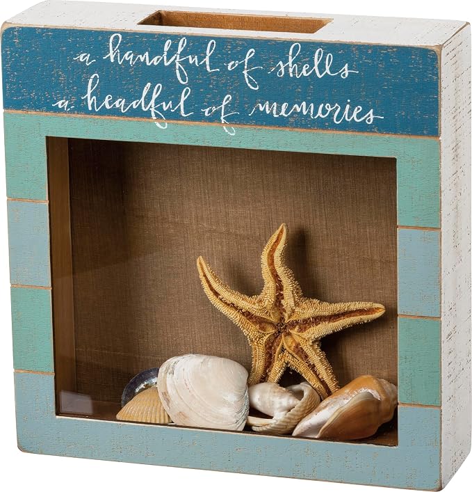 Primitives by Kathy Seashell Holder - Coastal Decor, Glass Display, Treasure Chest, Room and Bedroom Decor