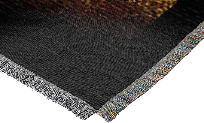 Northwest NFL Woven Tapestry Wall Hanging, 48 x 60 Inches, Officially Licensed, Decorative Fringes