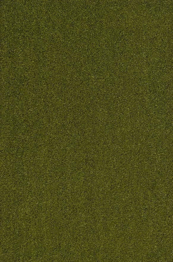 JONATHAN Y Peater Classic Casual Commercial Natural Coir Green 3 ft. x 6 ft. Doormat for Entrance, Front Door, Entryway CHG100F-36